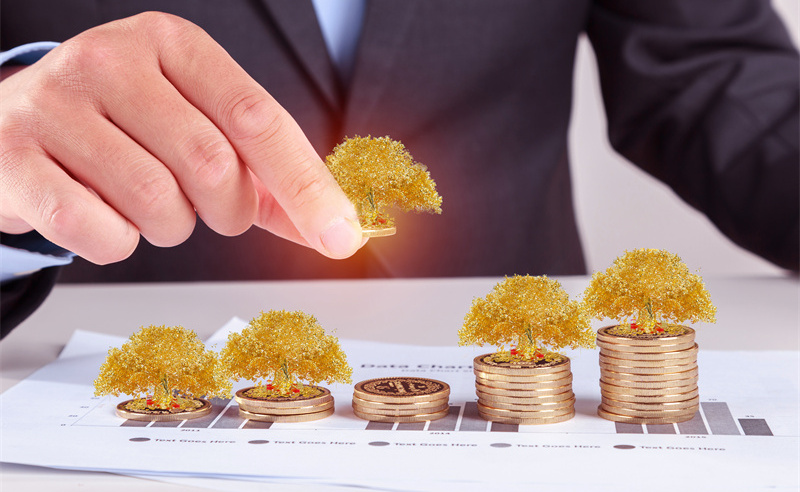 業(yè)績管理與績效評估、薪酬管理和職業(yè)發(fā)展之間的關系