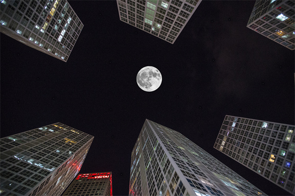 「營(yíng)銷(xiāo)管理咨詢(xún)」解鎖社交媒體的力量，讓品牌騰飛！