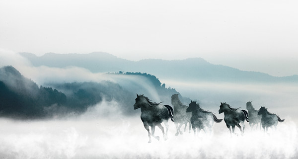 企業(yè)戰(zhàn)略規(guī)劃：為企業(yè)制定全面、長遠(yuǎn)的發(fā)展戰(zhàn)略