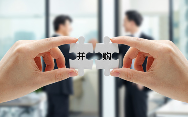 戰(zhàn)略投資與并購：拓展企業(yè)規(guī)模，增強(qiáng)市場(chǎng)競爭力