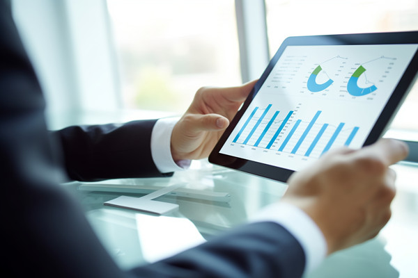 年度業(yè)務(wù)拓展計劃：多元發(fā)展，全面增長