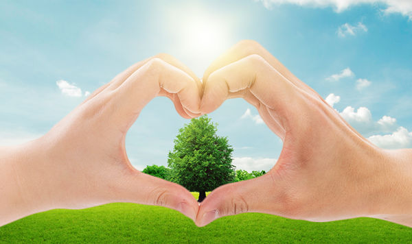 年度可持續(xù)發(fā)展計(jì)劃：綠色發(fā)展，共享價(jià)值