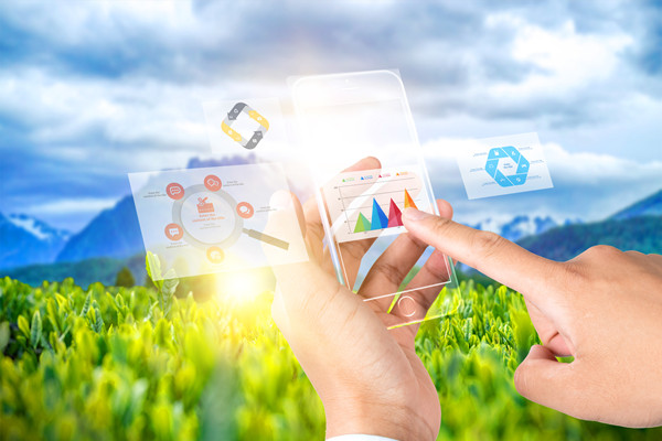 供應(yīng)鏈管理：打造高效、靈活與可持續(xù)的供應(yīng)鏈網(wǎng)絡(luò)