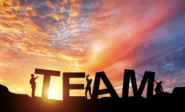 組織規(guī)劃管理：構(gòu)建高效團(tuán)隊(duì)，引領(lǐng)企業(yè)穩(wěn)健發(fā)展