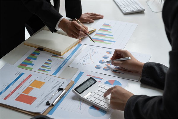 預算管理策略：優(yōu)化資源配置，提升企業(yè)財務效能