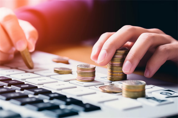 精細(xì)預(yù)算管理，助力企業(yè)騰飛：實(shí)現(xiàn)利潤最大化的秘訣