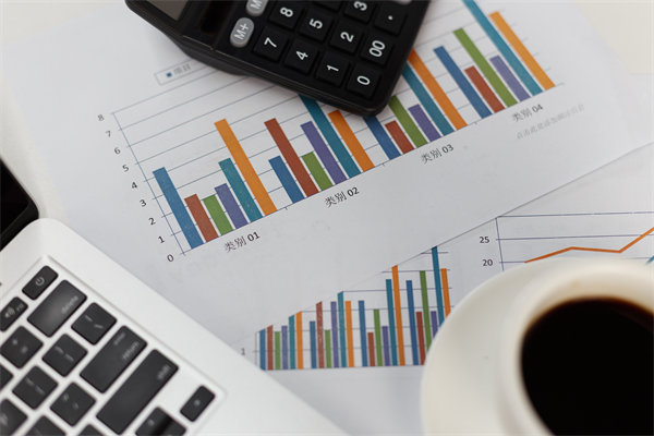 預算管理信息化建設：提升管理效率，降低管理成本