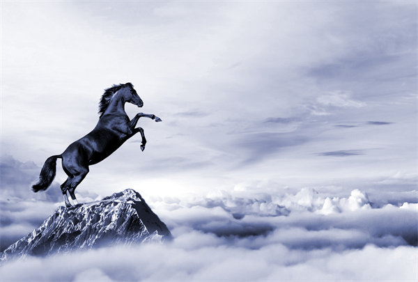 深度整合企業(yè)戰(zhàn)略資源，構(gòu)建高效運營管理體系