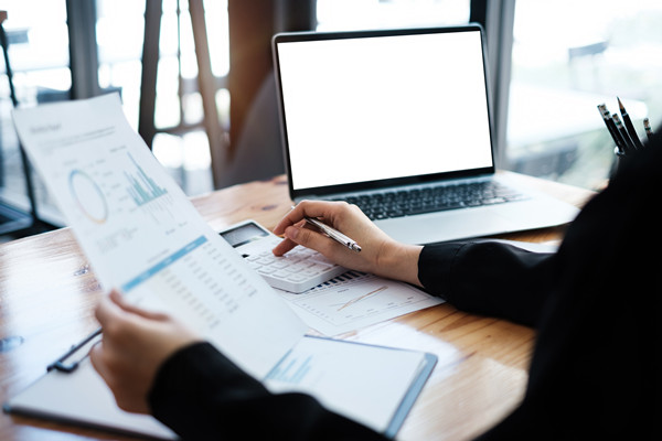 預算監(jiān)控與調(diào)整機制如何建立，確保預算執(zhí)行到位？