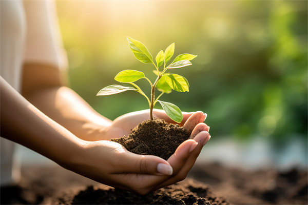 可持續(xù)發(fā)展成為趨勢(shì)，企業(yè)如何融入綠色戰(zhàn)略以促增長(zhǎng)？