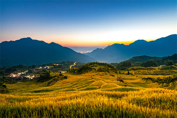 定制化管理咨詢方案：麗水企業(yè)轉(zhuǎn)型升級的鑰匙？