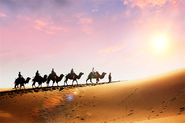 企業(yè)文化在人力資源管理中，扮演著怎樣的角色？