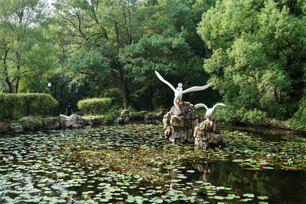 如何挑選適合株洲企業(yè)的專業(yè)管理咨詢公司？