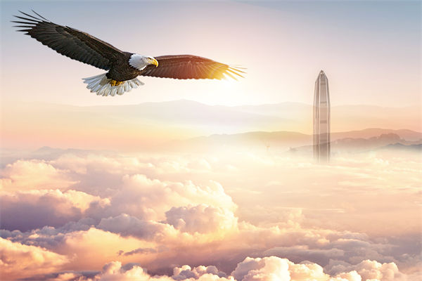 企業(yè)文化與企業(yè)管理如何協(xié)同，推動企業(yè)持續(xù)發(fā)展？