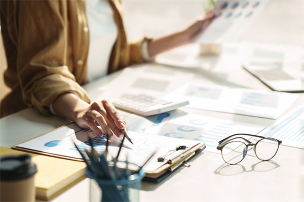 在預(yù)算執(zhí)行中，如何確保監(jiān)控與調(diào)整機(jī)制的有效性？