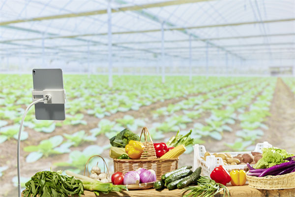 面對市場變化，您的營銷團隊是否足夠靈活應變？