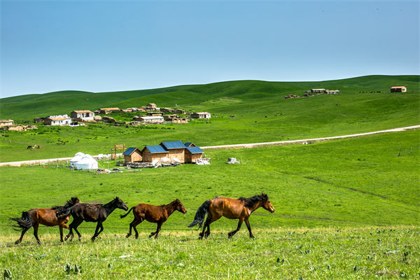 飛新疆的機票價格漲爆了，什么情況？是營銷炒作？
