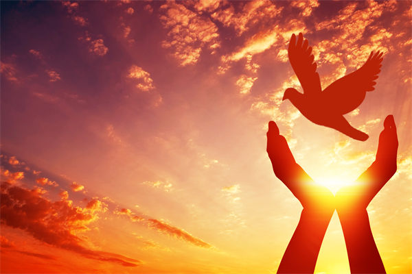 別讓盲卡盲盒“收割”孩子，關(guān)聯(lián)企業(yè)戰(zhàn)略怎么看？