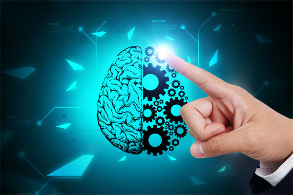 人力資源管理流程規(guī)范嚴(yán)謹(jǐn)，員工創(chuàng)造力為何反而受抑制？