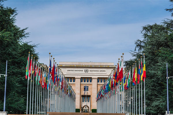 英法等25國(guó)發(fā)表聯(lián)合聲明，企業(yè)組織規(guī)劃有何啟示？