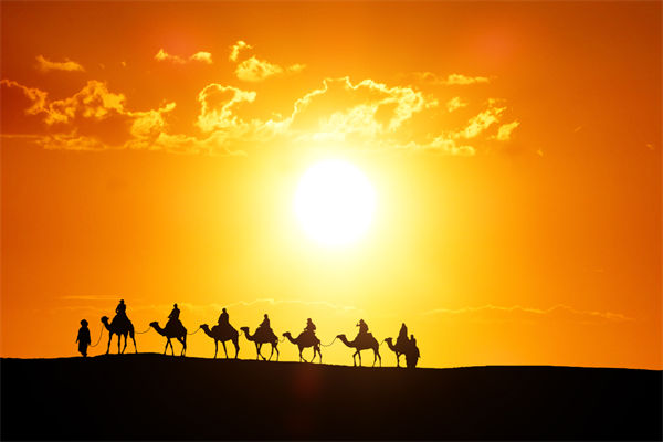 高層標榜的企業(yè)文化，如何穿透形式真正落地生根？