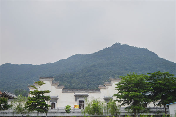 子公司各自為戰(zhàn)內(nèi)耗大，佛山集團管控咨詢公司有何整合之道？