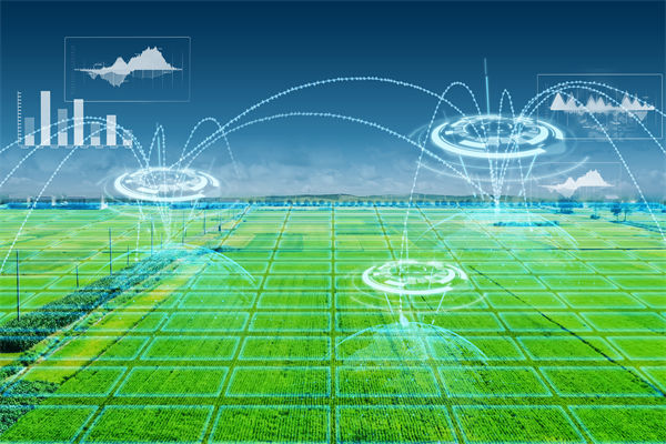 溫州種出2.1米高巨型水稻，精益生產(chǎn)怎么看？