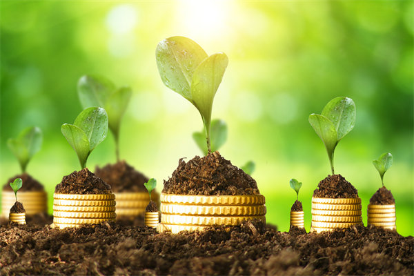 預算管理咨詢公司如何幫助企業(yè)破解資金錯配問題？