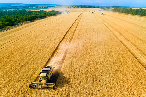 農(nóng)業(yè)行業(yè)供應鏈管理咨詢公司推薦，能解農(nóng)資采購成本高問題嗎？