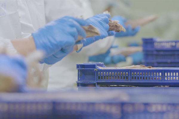 本土駐廠精益生產(chǎn)咨詢哪家強(qiáng)，能快速提升產(chǎn)線流轉(zhuǎn)效率么？