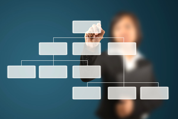 哪家組織規(guī)劃咨詢公司落地最好，能搭建適配發(fā)展的組織體系？